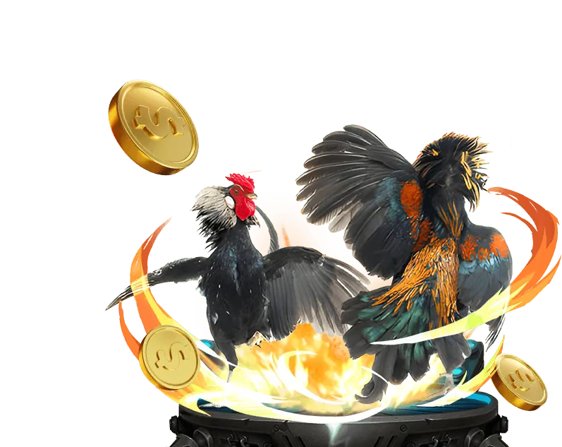 Bước 3: Nạp tiền và trải nghiệm