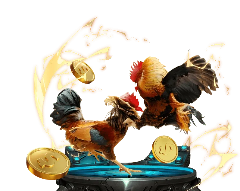 Bước 2: Xác minh tài khoản